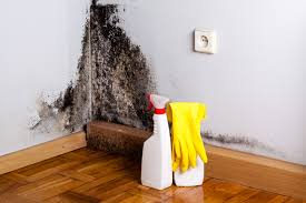 Best Environmental Consulting for Mold Prevention  in Thornton, IL